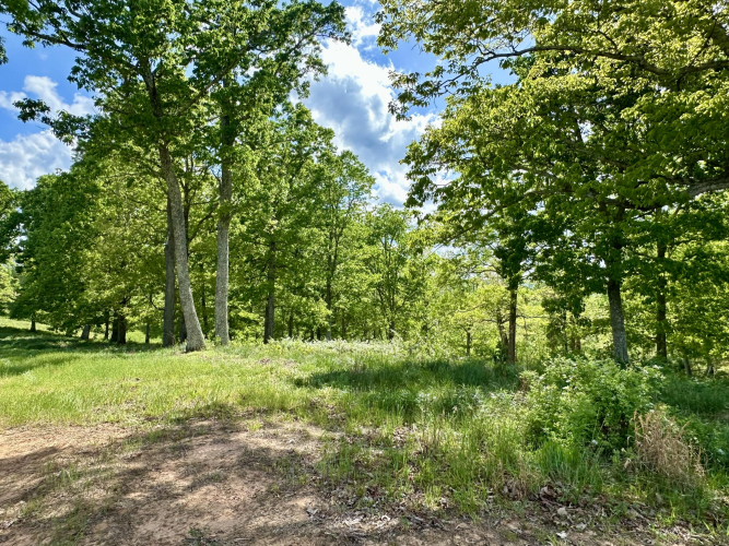 Listing Image 17