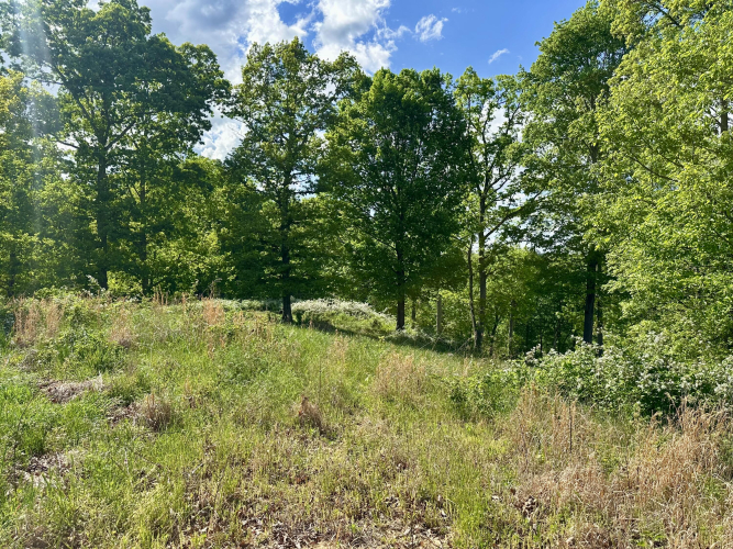 Listing Image 21