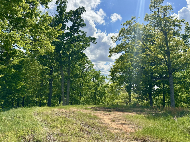 Listing Image 24