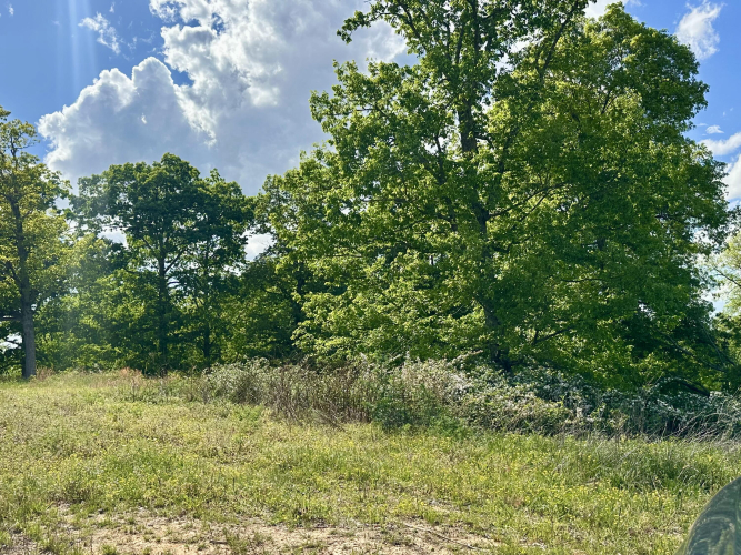 Listing Image 25