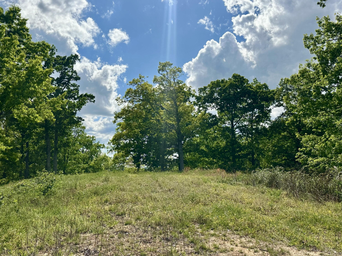 Listing Image 26