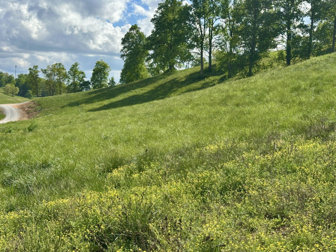 Listing Image 28