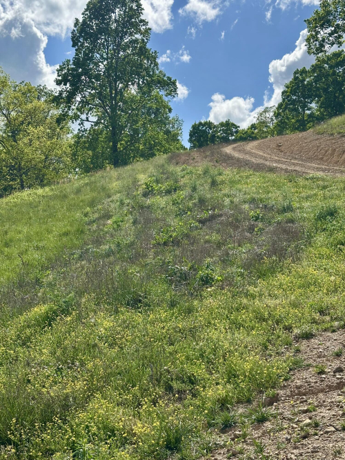 Listing Image 30