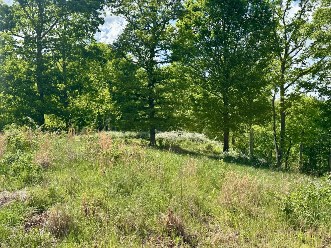 Listing Image 33