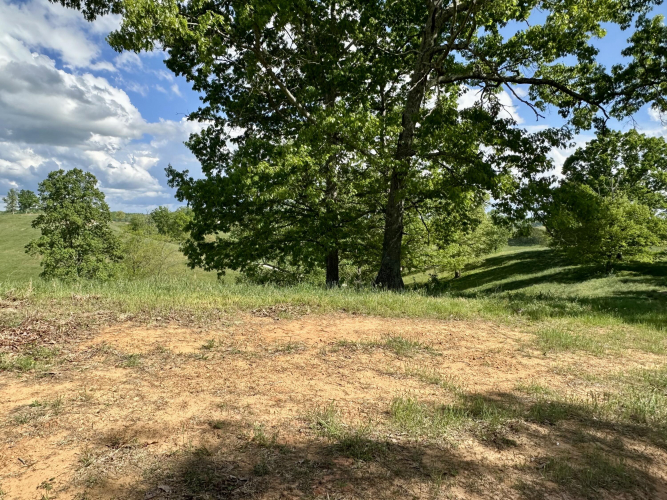 Listing Image 34