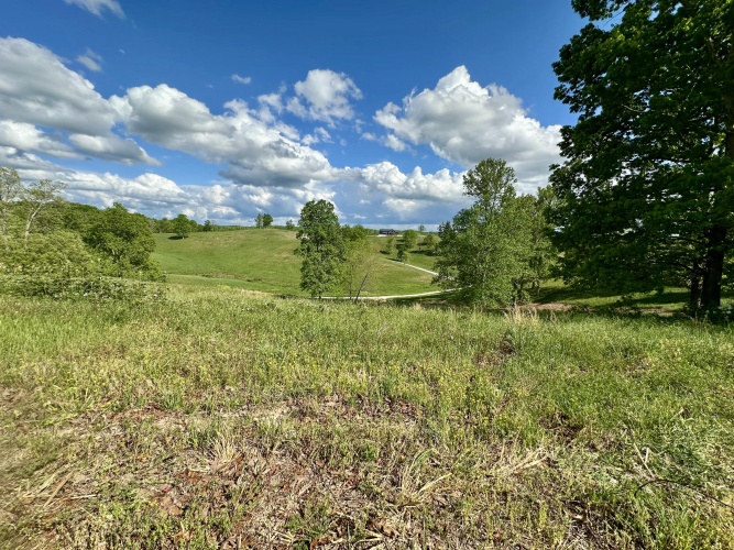 Listing Image 36