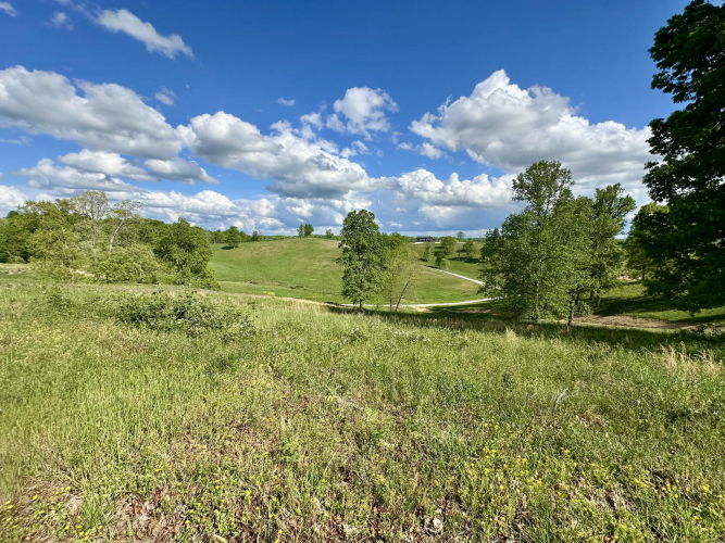 Listing Image 38