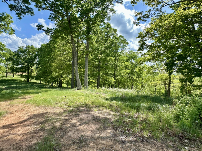 Listing Image 39