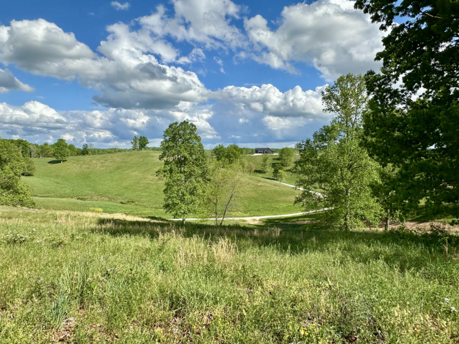 Listing Image 41