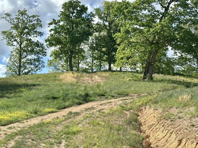 Listing Image 18
