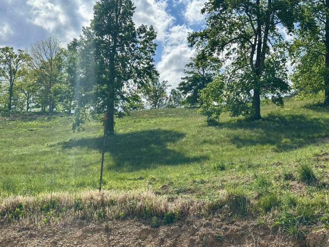 Listing Image 30