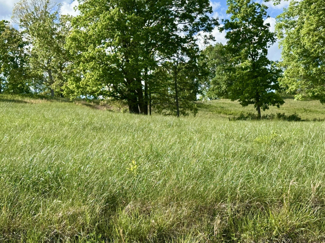 Listing Image 33
