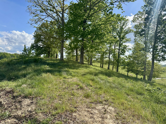 Listing Image 36