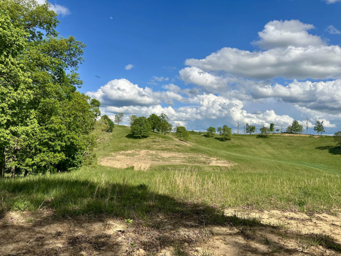 Listing Image 37