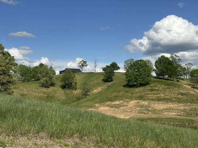 Listing Image 38