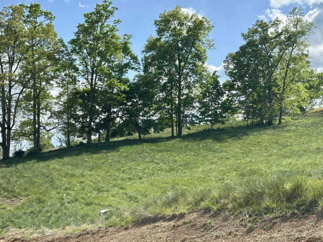 Listing Image 42