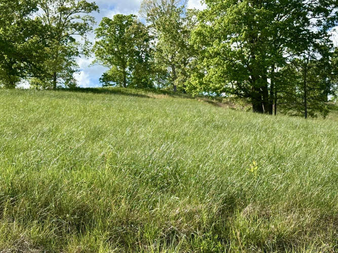 Listing Image 43