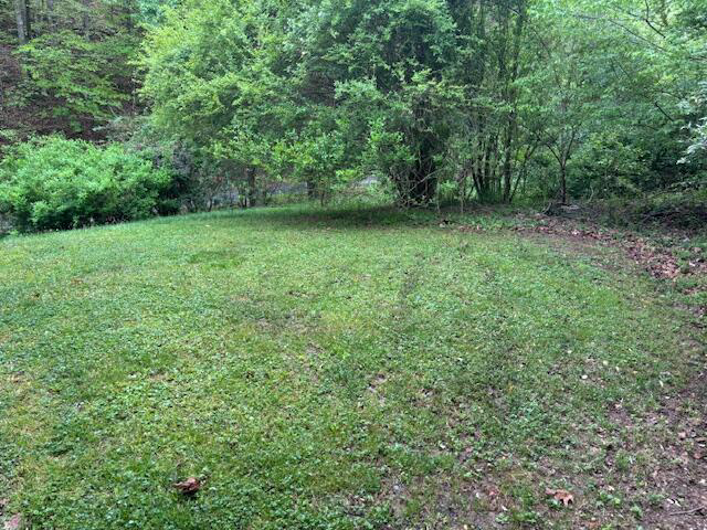 Listing Image 18