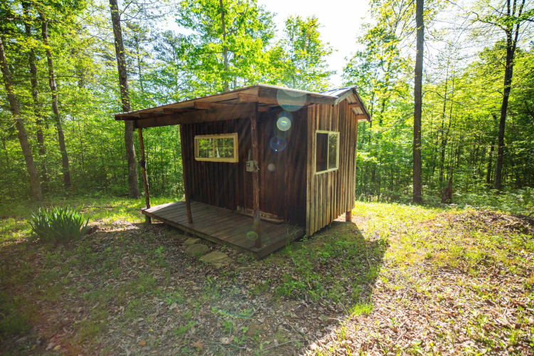 Listing Image 14
