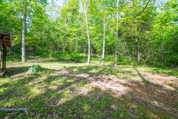 Listing Image 17
