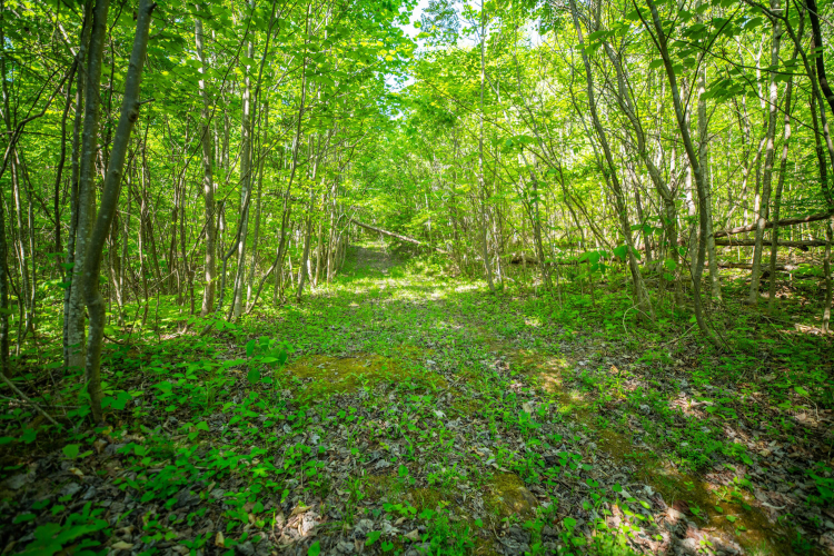 Listing Image 31