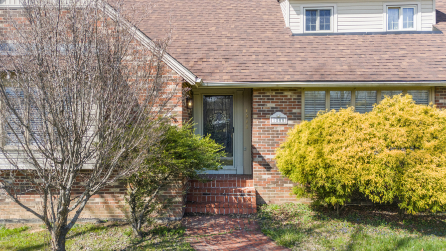 Listing Image 50
