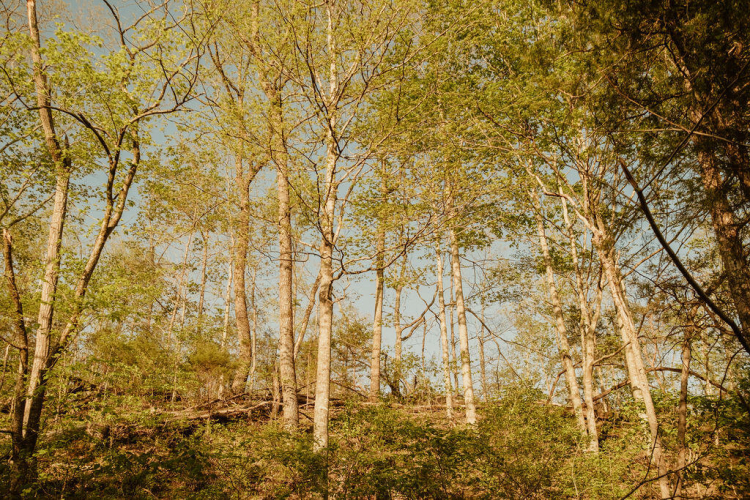 Listing Image 18