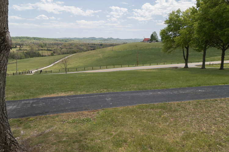 Listing Image 54