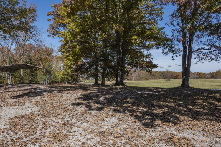 Listing Image 38