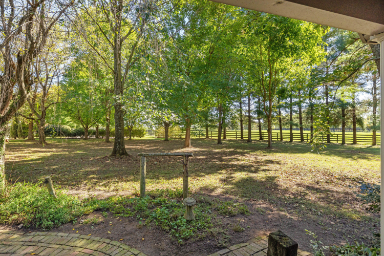 Listing Image 26