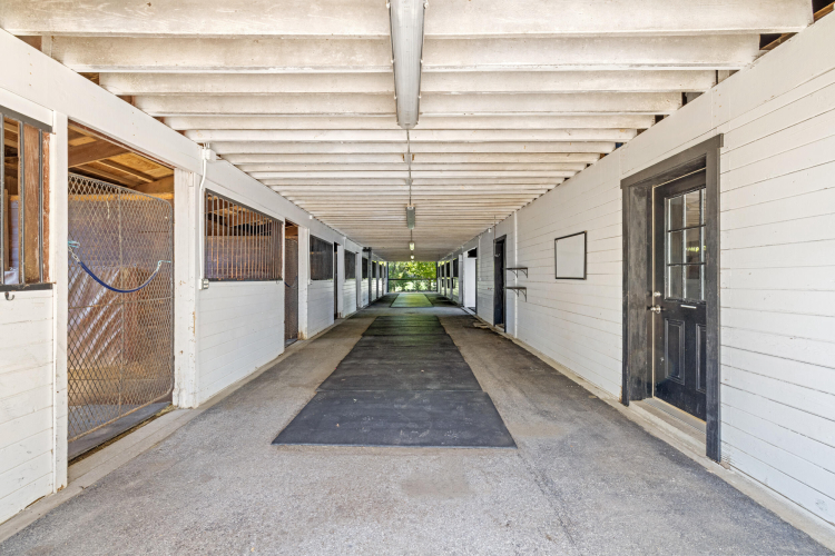 Listing Image 28