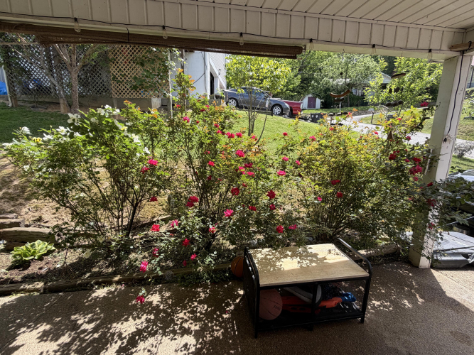 Listing Image 30