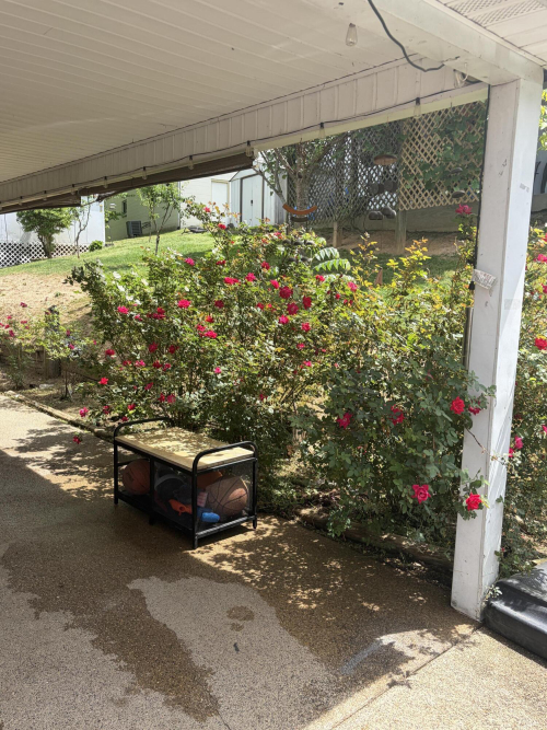 Listing Image 6
