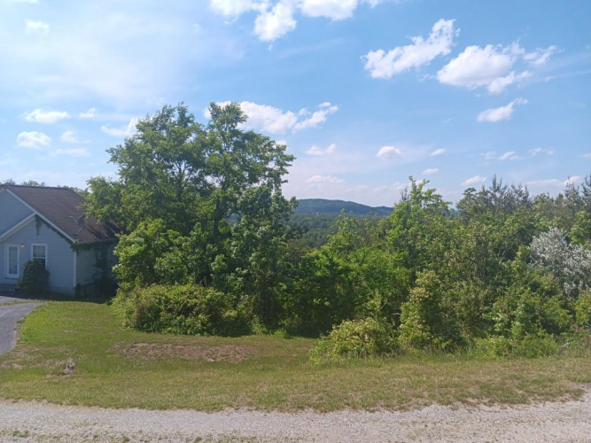 Listing Image 44