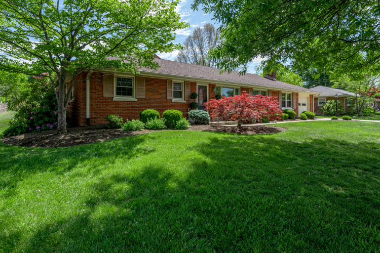 Listing Image 64