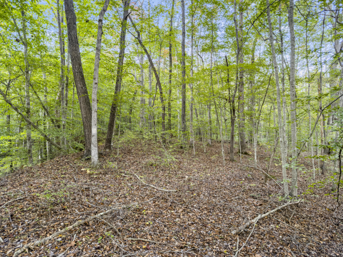 Listing Image 24