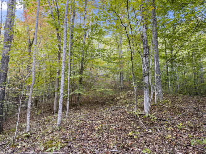 Listing Image 26