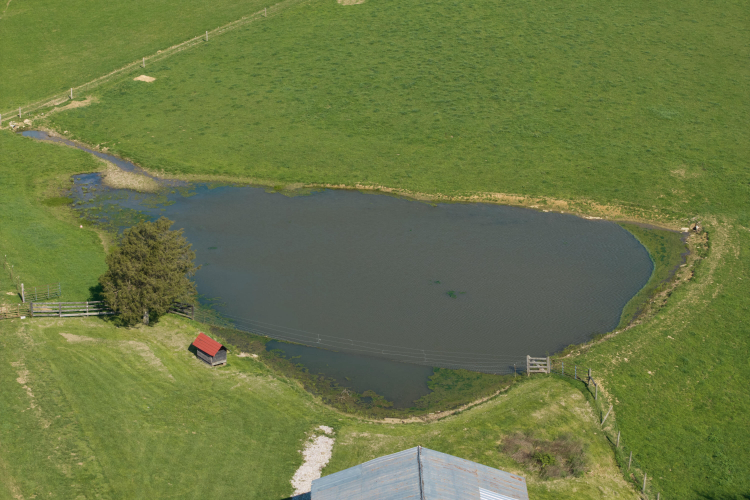 Listing Image 17