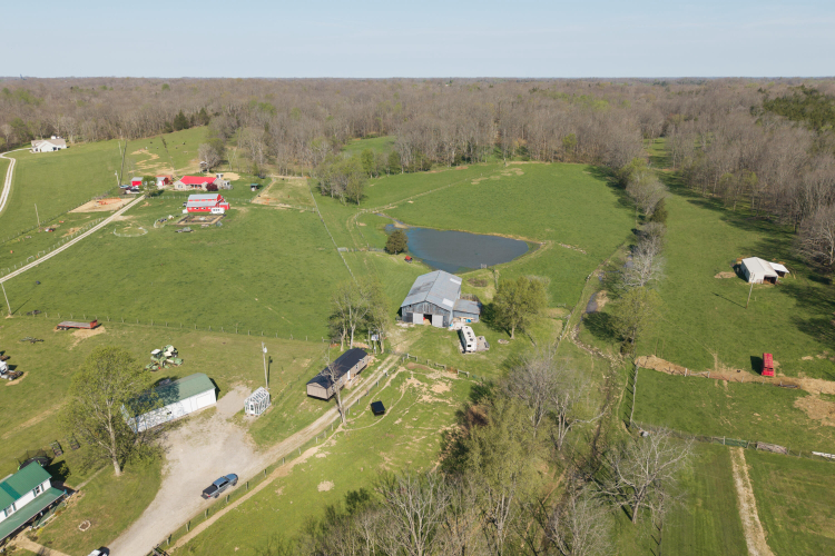 Listing Image 19