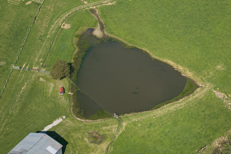 Listing Image 22
