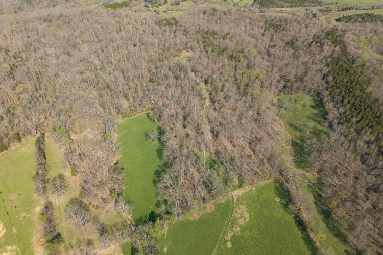 Listing Image 29