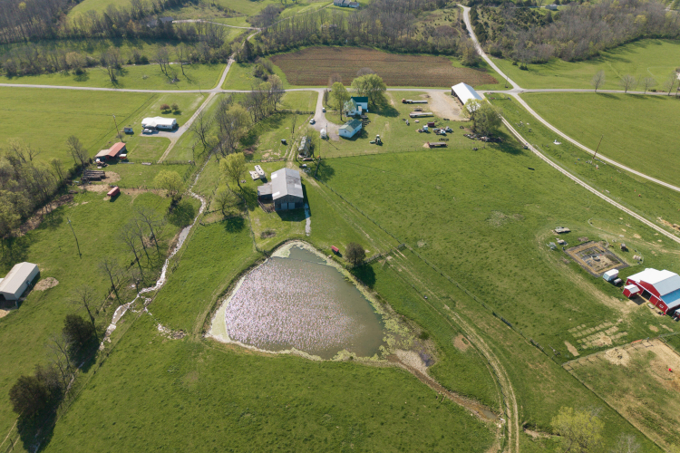 Listing Image 39