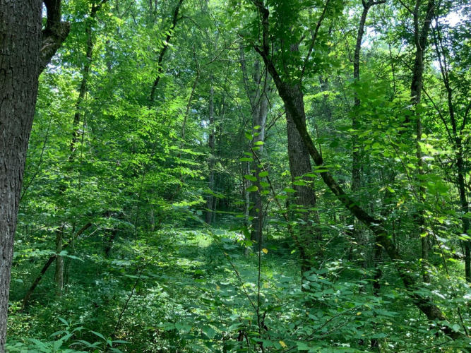 Listing Image 5