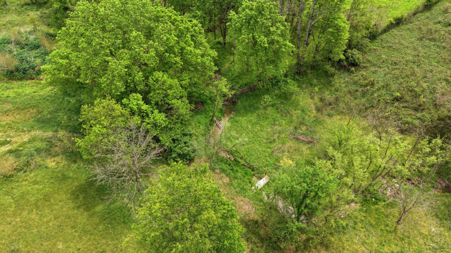 Listing Image 34