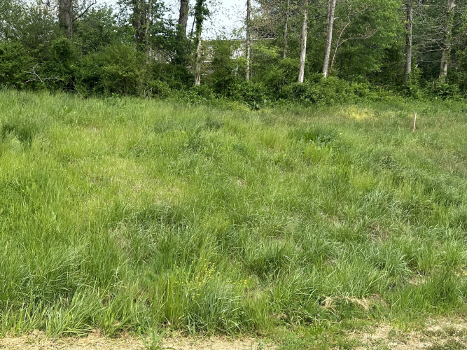 Listing Image 40