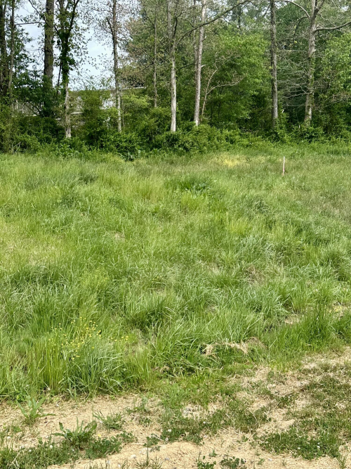 Listing Image 41