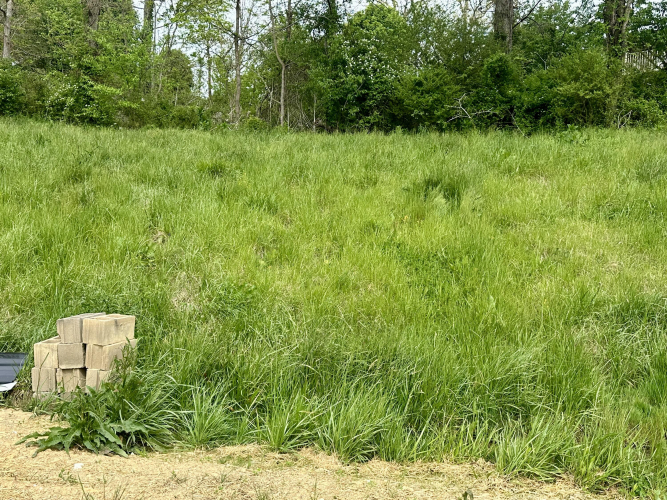 Listing Image 43
