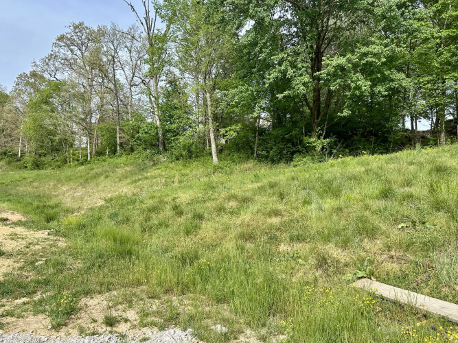 Listing Image 28
