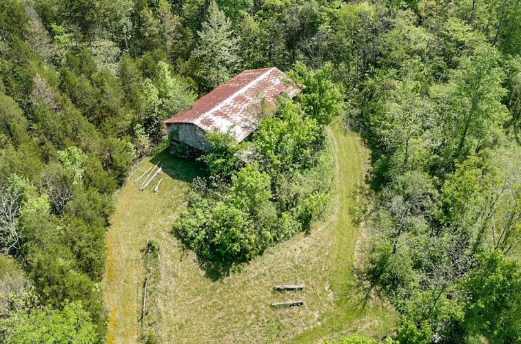 Listing Image 13