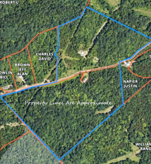 Listing Image 7